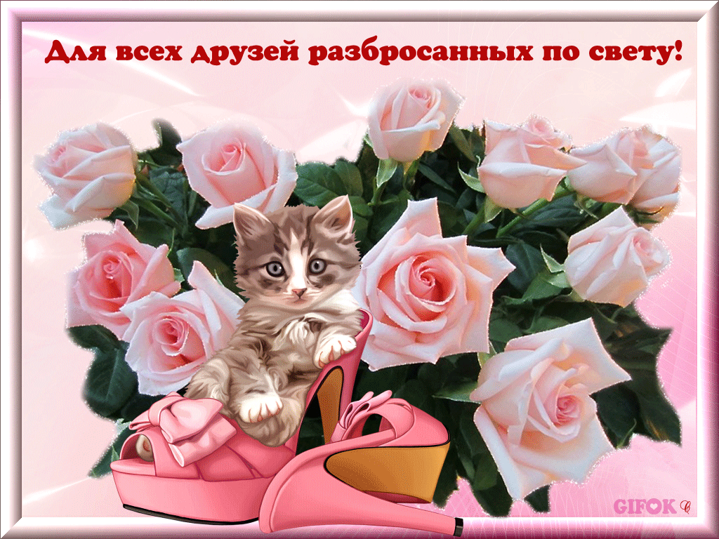 Поздравления В Одноклассниках Бесплатно Картинки