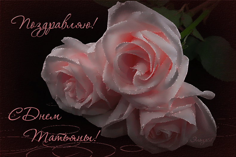 Картинка Татьянин день с розами