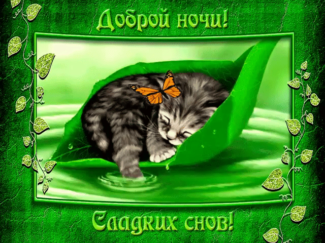 Доброй ночи и сладких снов открытка с котенком