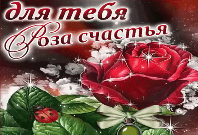 Для тебя эта роза счастья открытка