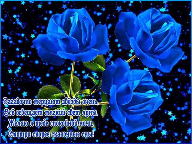 Спокойной ночи, прими эти синие розы