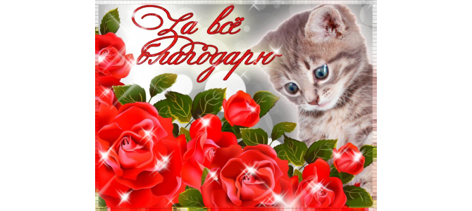 За все благодарю