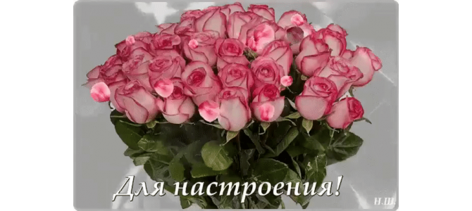 Букет роз вам для настроения
