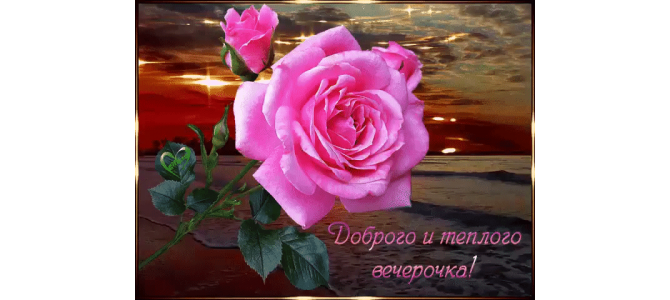 Доброго и теплого вечера