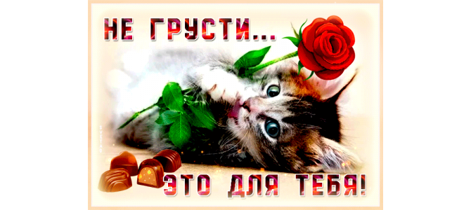 Открытка не грусти
